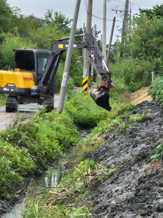 벼7893님의 콩 · 영농일지 작성글 사진