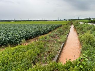 오성균님의 콩 · 영농일지 작성글 사진