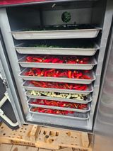 팜모닝 고추·영농일지 게시글 이미지