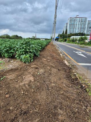 벼7893님의 콩 · 영농일지 작성글 사진