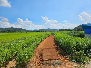 보리수치유농장님의 기타작물 · 영농일지 작성글 사진
