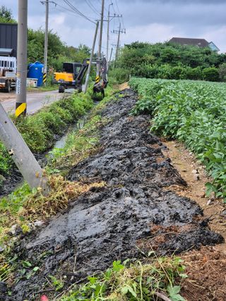 벼7893님의 콩 · 영농일지 작성글 사진