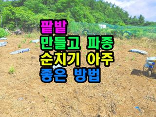 꿈꾸는텃밭님의 기타작물 · 영농일지 작성글 사진