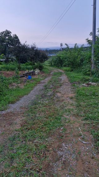 이철수님의 호박 · 영농일지 작성글 사진