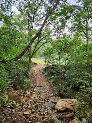 김영옥님의 기타작물 · 영농일지 작성글 사진