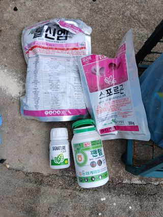 최영묵님의 감 · 영농일지 작성글 사진