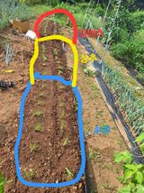 팜모닝 기타작물·영농일지 게시글 이미지