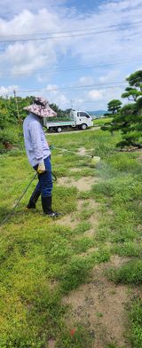 팜모닝 기타작물·영농일지 게시글 이미지