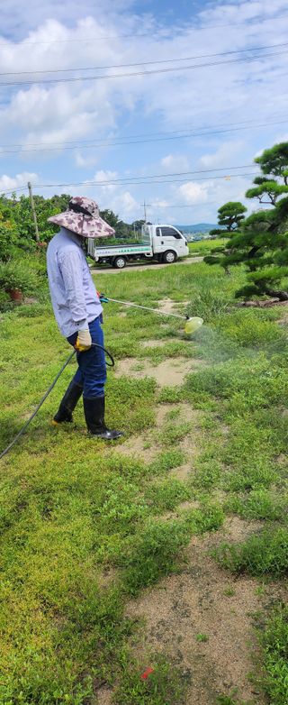 상추22033님의 기타작물 · 영농일지 작성글 사진