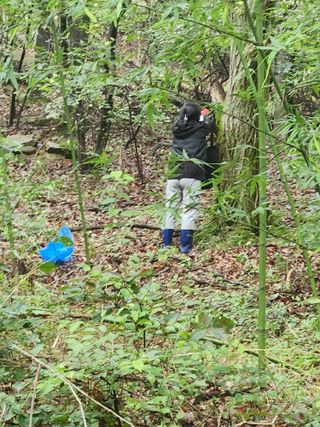 김영옥님의 기타작물 · 영농일지 작성글 사진