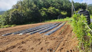 장흥 모경화 님의 기타작물 · 영농일지 작성글 사진