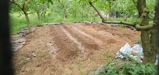 반성식님의 벼 · 영농일지 작성글 사진