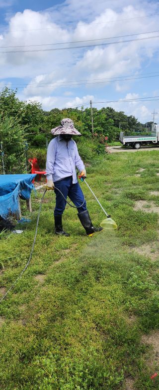 상추22033님의 기타작물 · 영농일지 작성글 사진