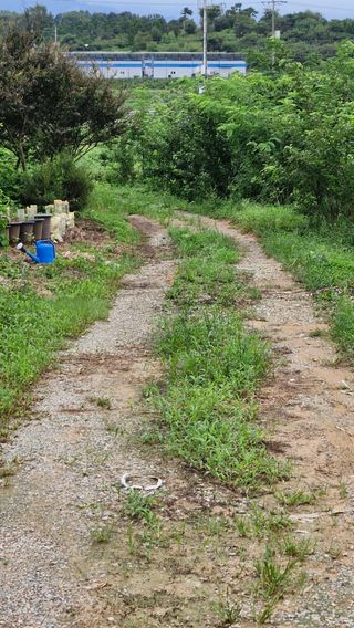 이철수님의 호박 · 영농일지 작성글 사진