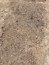 팜모닝 시금치·영농일지 게시글 이미지