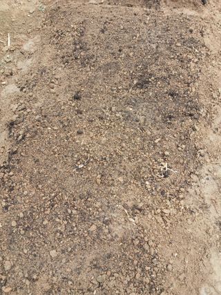 고추농사님의 시금치 · 영농일지 작성글 사진