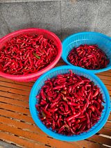 팜모닝 기타작물·영농일지 게시글 이미지