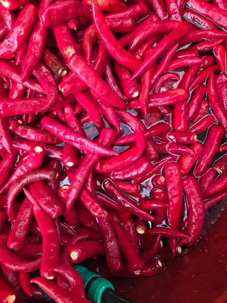 윤자용11대임후회장님의 기타작물 · 영농일지 작성글 사진