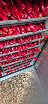 팜모닝 고추·영농일지 게시글 이미지