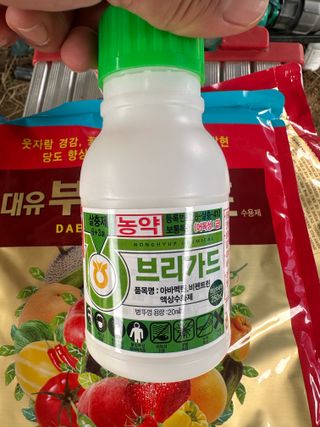 임영택님의 사과 · 영농일지 작성글 사진