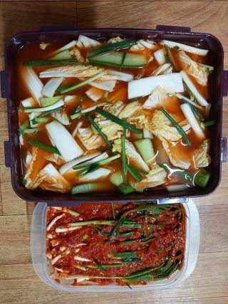 아산이쁘니95960님의 기타작물 · 영농일지 작성글 사진