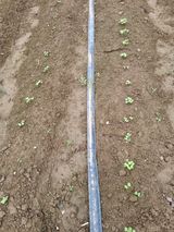 팜모닝 기타작물·영농일지 게시글 이미지