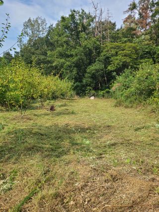 만청님의 기타작물 · 영농일지 작성글 사진