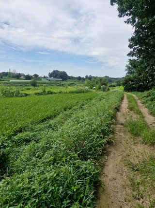 윤길정님의 기타작물 · 영농일지 작성글 사진