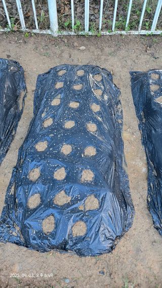 윤두현님의 기타작물 · 영농일지 작성글 사진