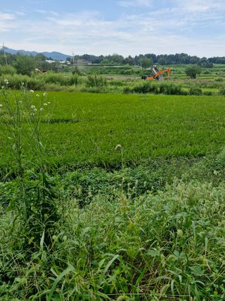 윤길정님의 기타작물 · 영농일지 작성글 사진