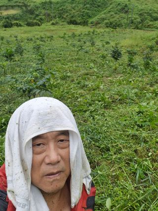 엉뚱님의 기타작물 · 영농일지 작성글 사진