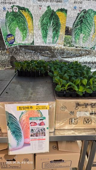 윤두현님의 기타작물 · 영농일지 작성글 사진