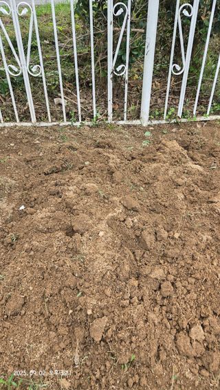 윤두현님의 기타작물 · 영농일지 작성글 사진