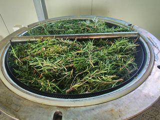 한재범님의 기타작물 · 영농일지 작성글 사진