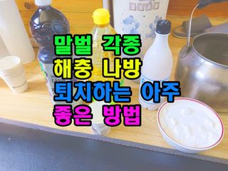 꿈꾸는텃밭님의 기타작물 · 영농일지 작성글 사진