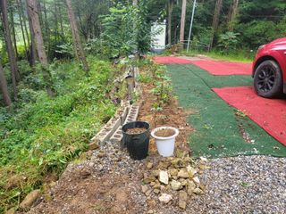 돈디아고(김덕수)님의 기타작물 · 영농일지 작성글 사진