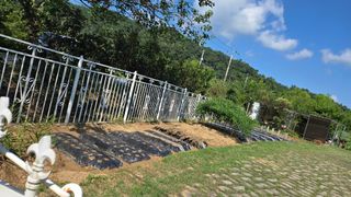 윤두현님의 기타작물 · 영농일지 작성글 사진