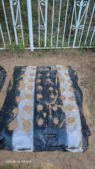 윤두현님의 기타작물 · 영농일지 작성글 사진