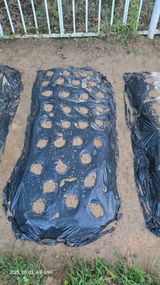 팜모닝 기타작물·영농일지 게시글 이미지