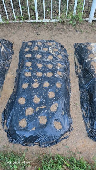 윤두현님의 기타작물 · 영농일지 작성글 사진