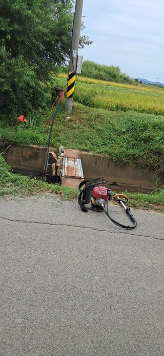 이복길님의 벼 · 영농일지 작성글 사진
