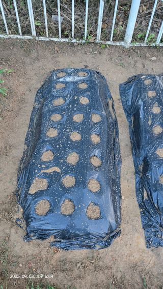 윤두현님의 기타작물 · 영농일지 작성글 사진