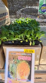 팜모닝 기타작물·영농일지 게시글 이미지