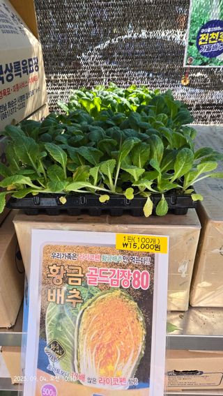 윤두현님의 기타작물 · 영농일지 작성글 사진