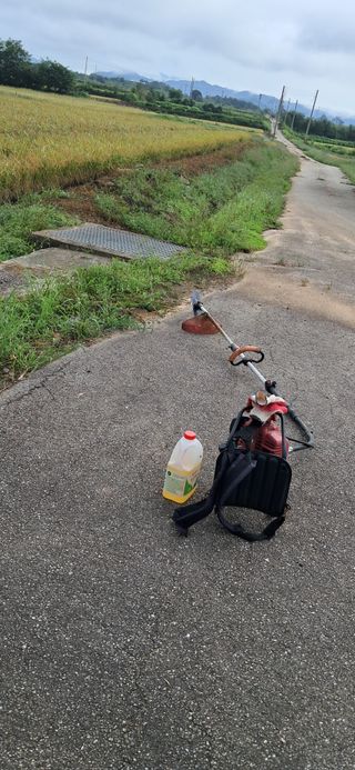 이복길님의 벼 · 영농일지 작성글 사진