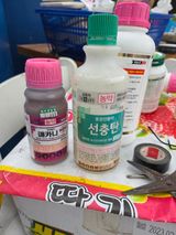 팜모닝 딸기·영농일지 게시글 이미지