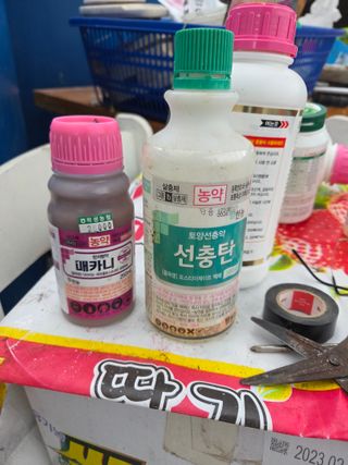 김동출님의 딸기 · 영농일지 작성글 사진