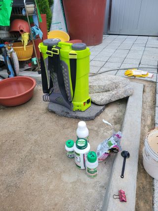 아리랑님의 배추 · 영농일지 작성글 사진