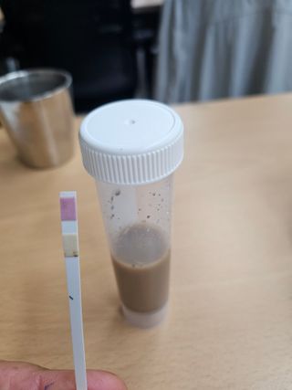 조영민님의 배 · 영농일지 작성글 사진