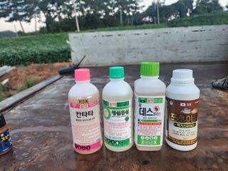 박현준 님의 기타작물 · 영농일지 작성글 사진